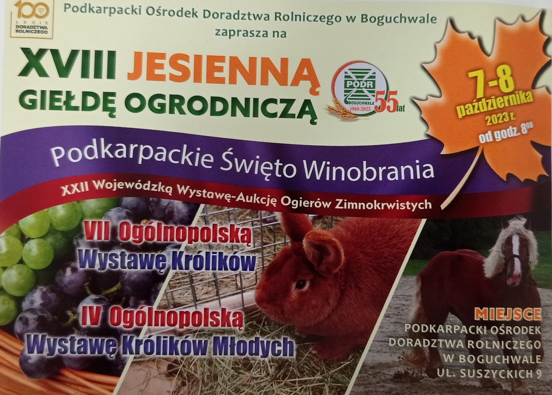 XVIII Jesienna Giełda Ogrodnicza w Boguchwale